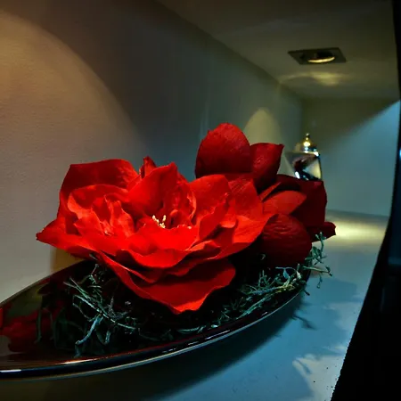 Aston 3* 브라티슬라바